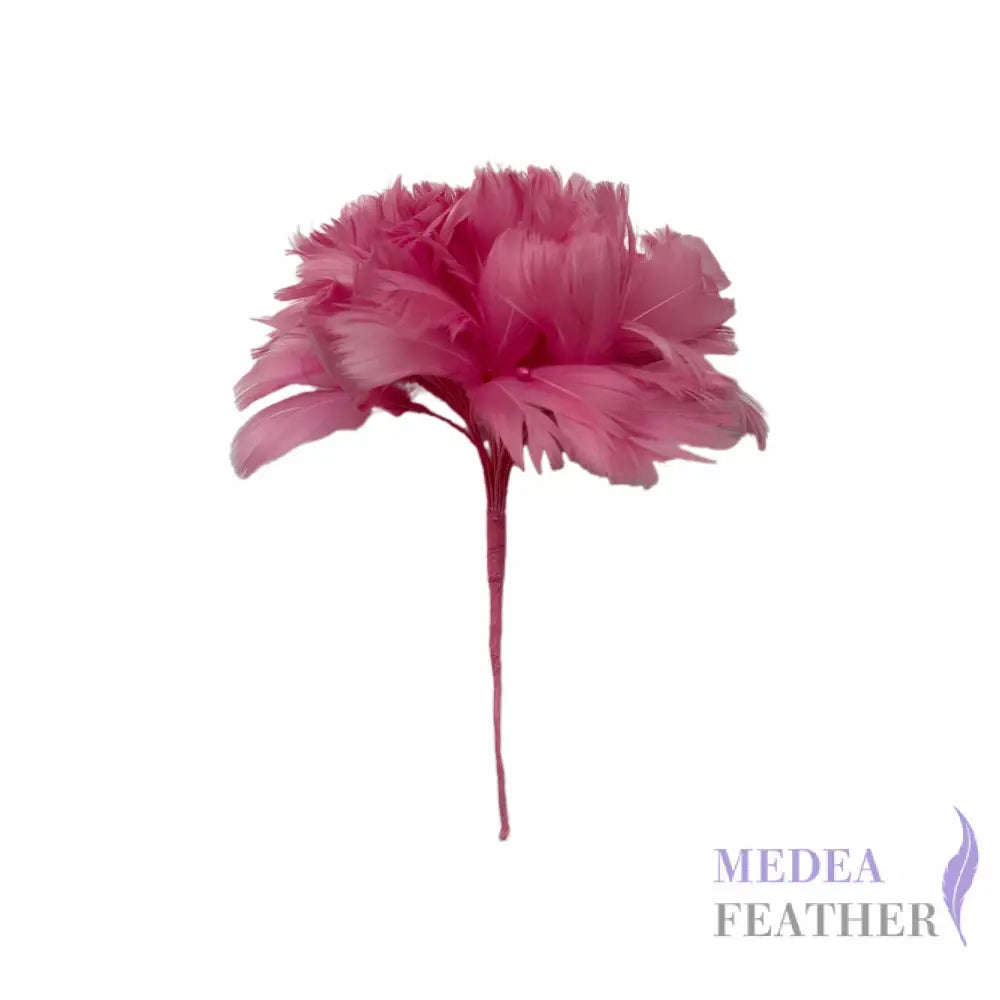 Goose Feather Bundle Mount DS260522 - #94 begonia pink