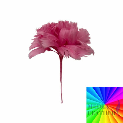 Goose Feather Bundle Mount DS260522 - Custom-please add text below