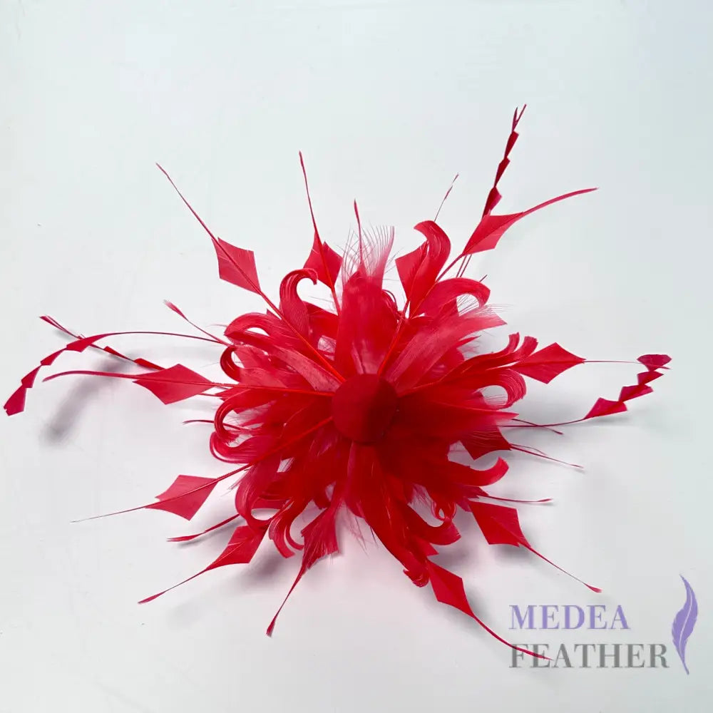 Goose Feather & Diamond Coque Feather Tips Flower Mount