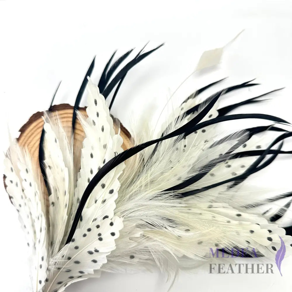 Goose Feather Dot design and Goose Biot Feather Mount Custom - Please add text below