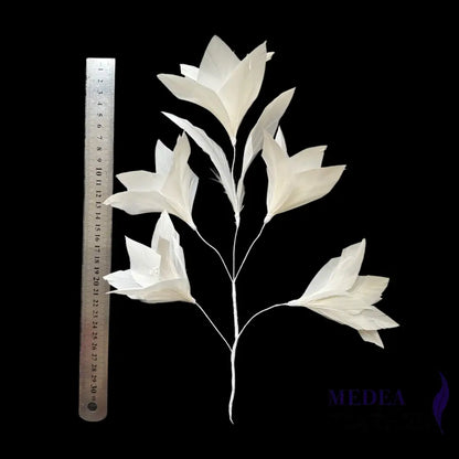 Goose Feather Mount DS260527