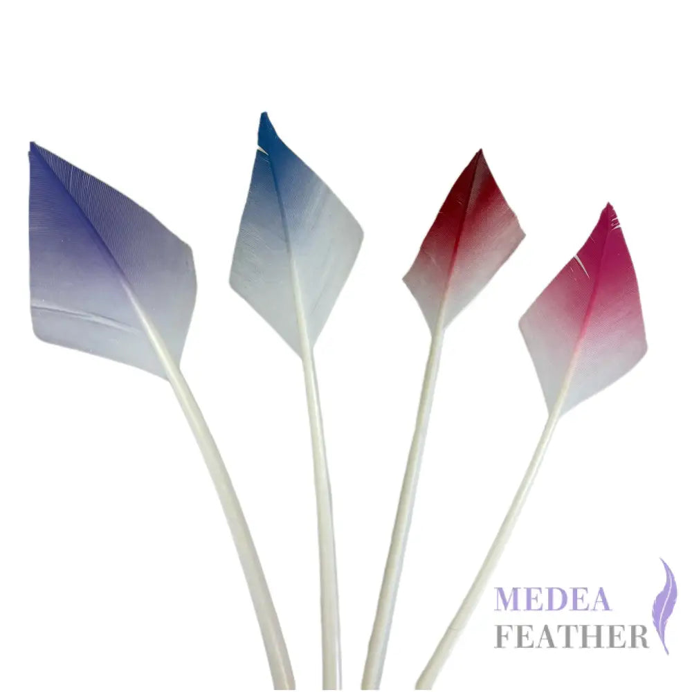 Gradient Arrow Head Turkey Quill Feather