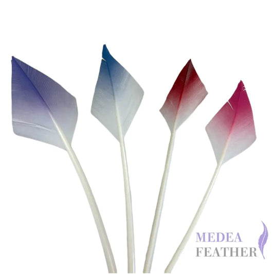 Gradient Arrow Head Turkey Quill Feather