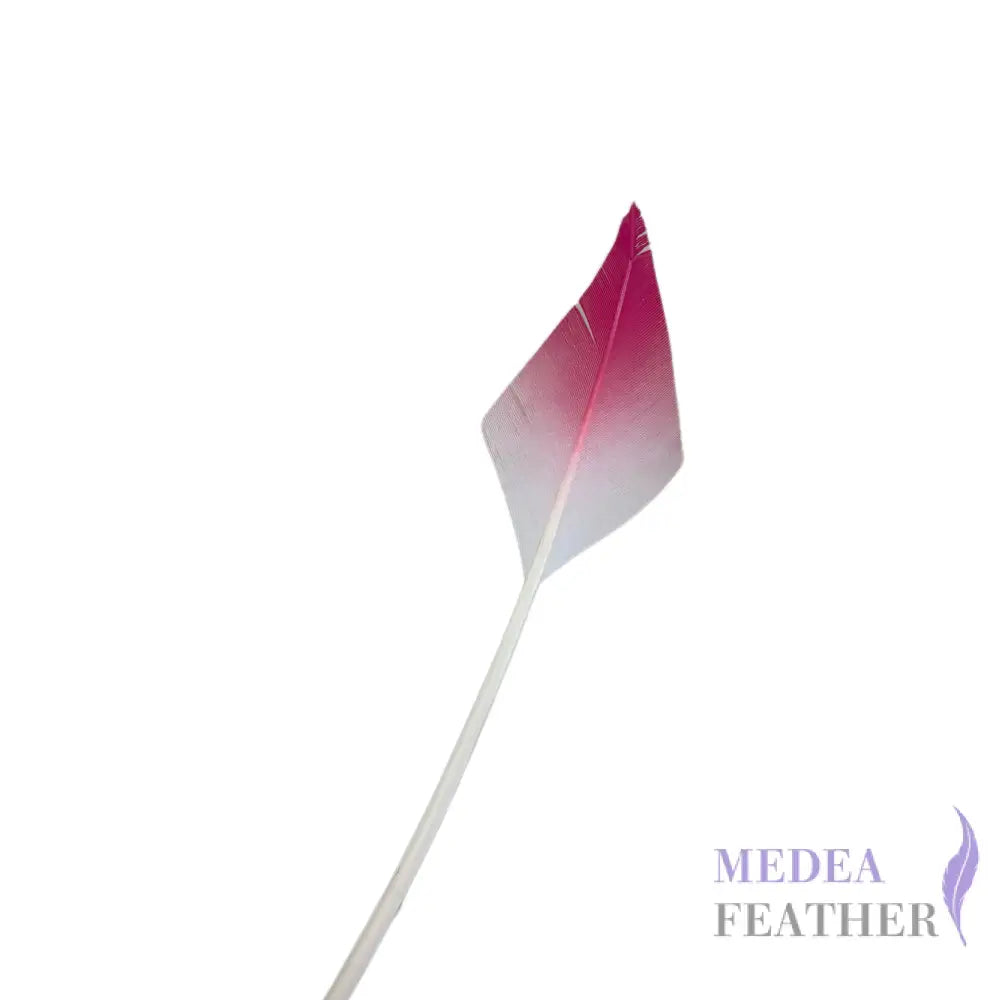 Gradient Arrow Head Turkey Quill Feather - Pink