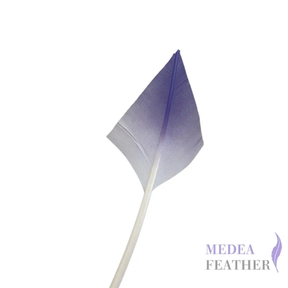 Gradient Arrow Head Turkey Quill Feather - Purple