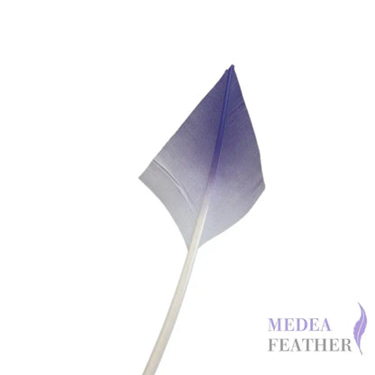 Gradient Arrow Head Turkey Quill Feather - Purple