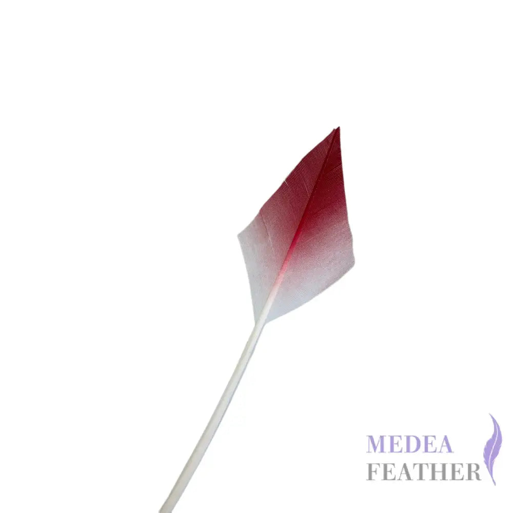 Gradient Arrow Head Turkey Quill Feather - Red