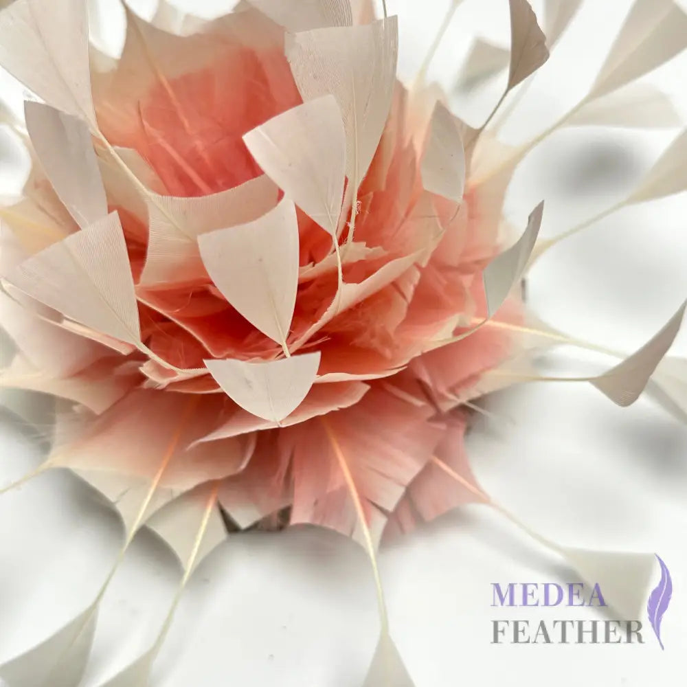Gradient Art Goose Feather Mount