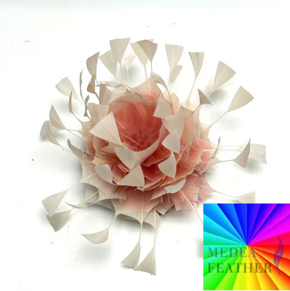 Gradient Art Goose Feather Mount Custom - Please add text below
