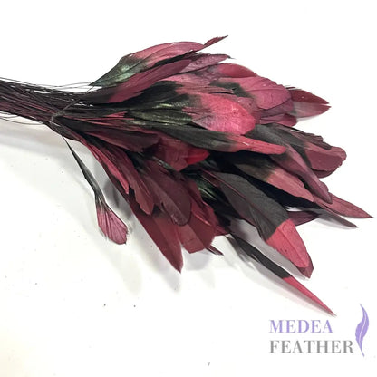 20cm Gradient Dyed Coque Feather - Pack of 5 #37 burgendy