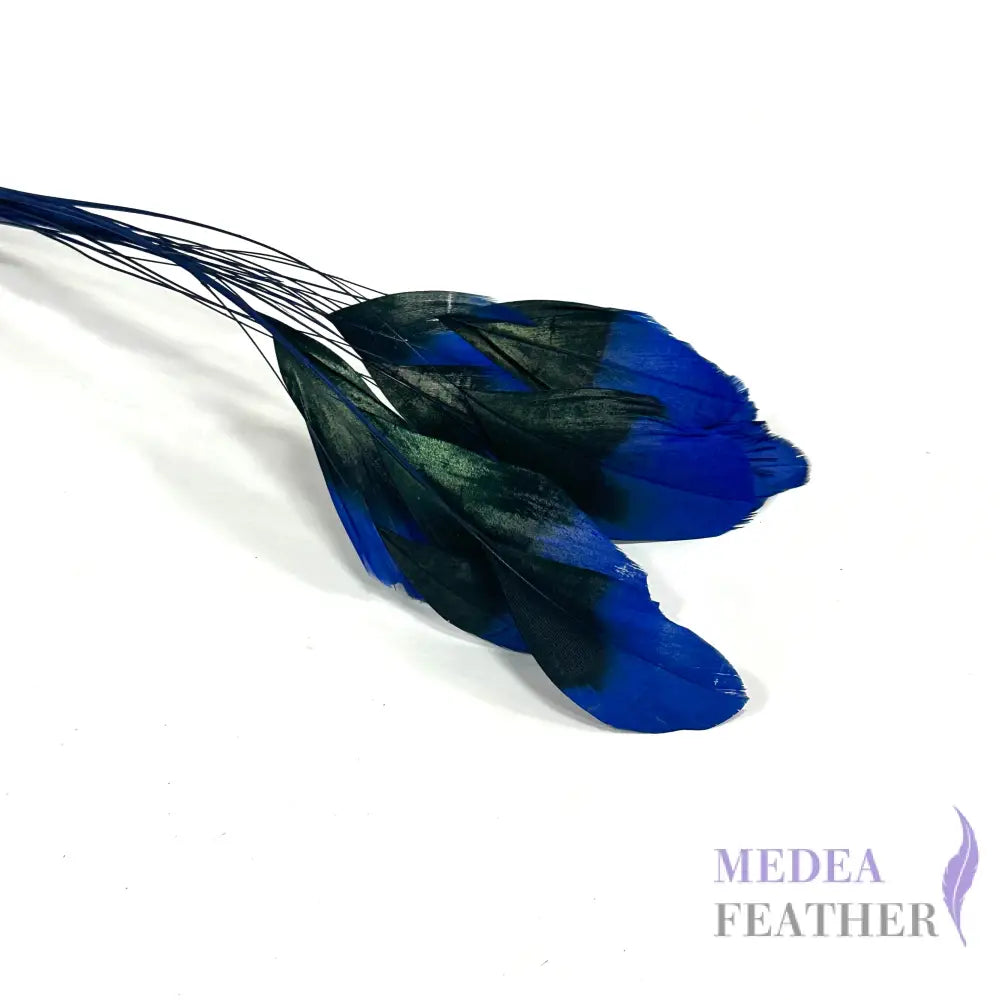 20cm Gradient Dyed Coque Feather - Pack of 5 #67 royal blue