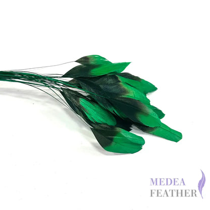 20cm Gradient Dyed Coque Feather - Pack of 5 #70 bright green