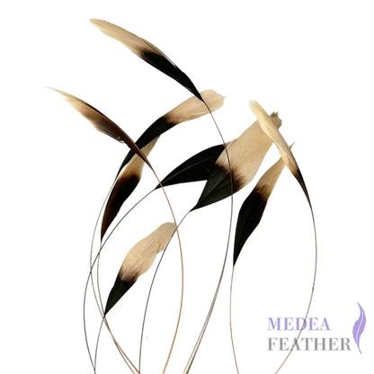 20cm Gradient Dyed Coque Feather - Pack of 10 SF011 Brown & cream