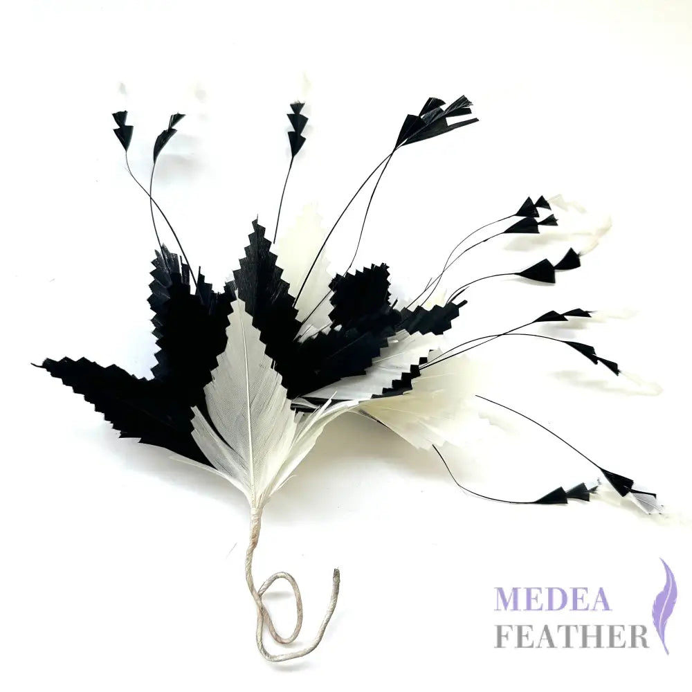 Gradient Goose & Coque Feather Mount zigzag edge