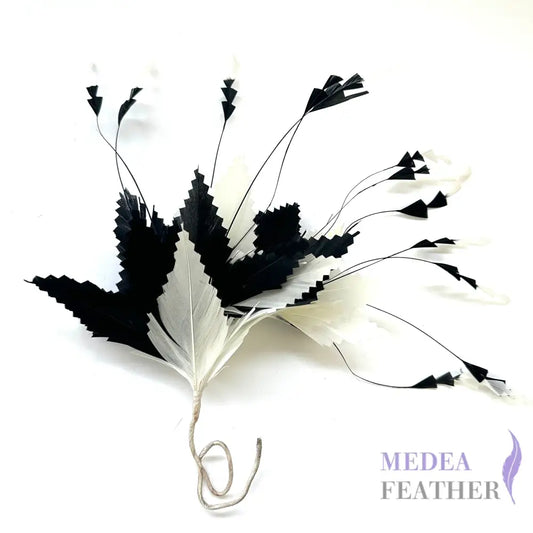 Gradient Goose & Coque Feather Mount zigzag edge
