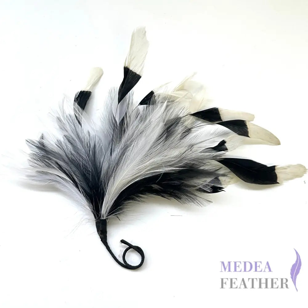 Gradient Goose & Hackle Feather Mount Stripped coque feather