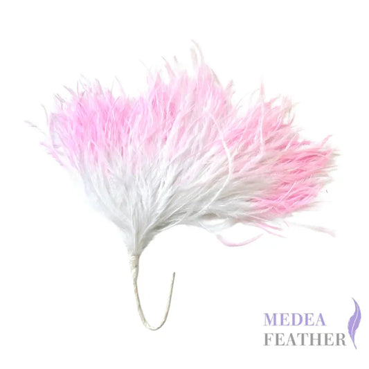 Gradient Ostrich Feather Mount