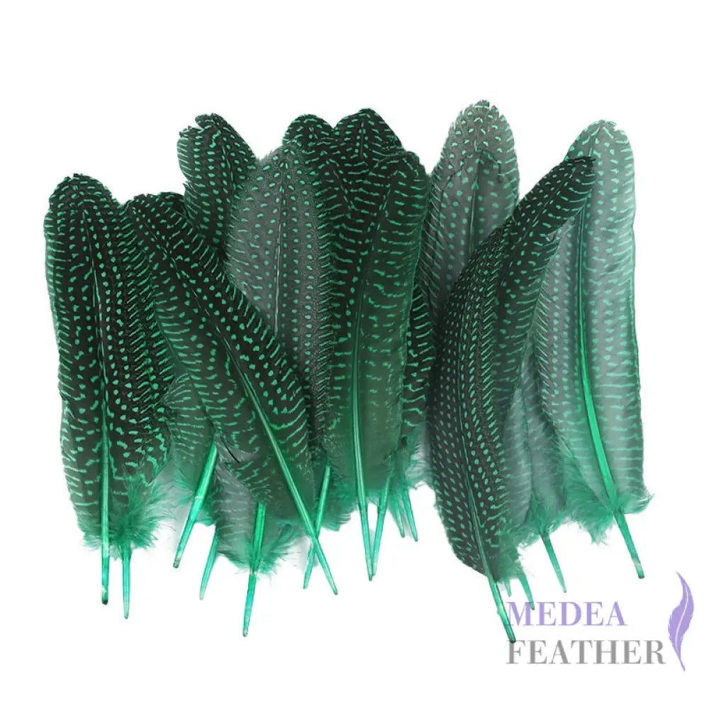 Guinea Fowl Feather (1 pack=10 pieces)
