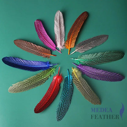 Guinea Fowl Feather (1 pack=10 pieces)