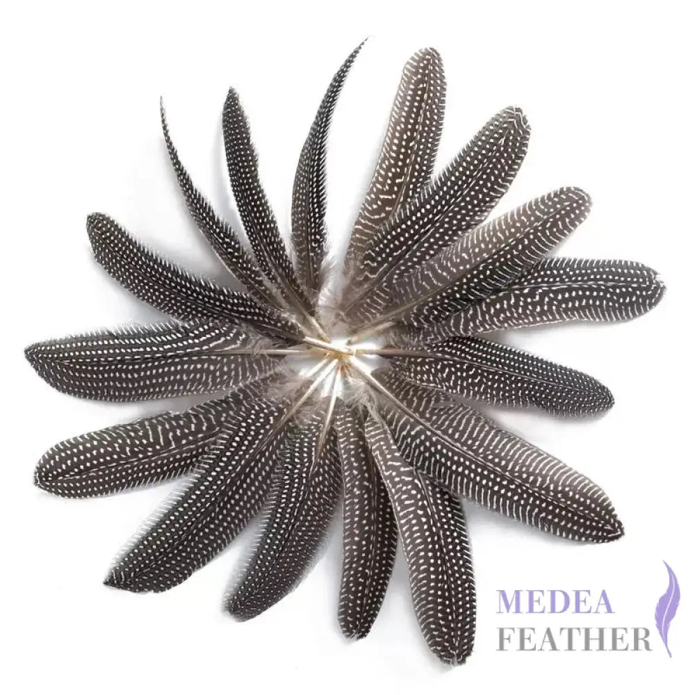 Guinea Fowl Feather (1 pack=10 pieces)
