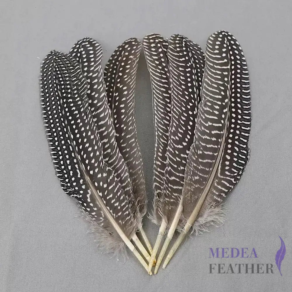 Guinea Fowl Feather (1 pack=10 pieces)