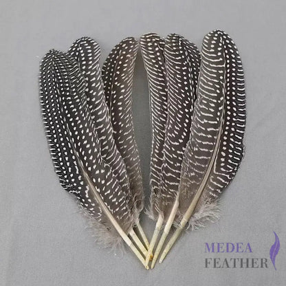 Guinea Fowl Feather (1 pack=10 pieces)