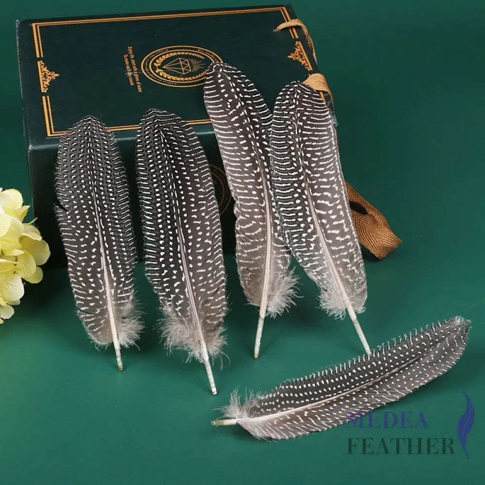 Guinea Fowl Feather (1 pack=10 pieces) Natural