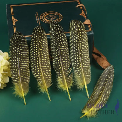 Guinea Fowl Feather (1 pack=10 pieces) Yellow