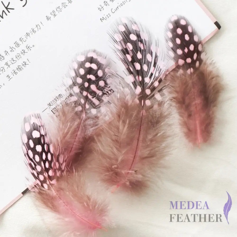 Guinea Hen Plumage Polka Dot Feathers