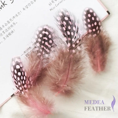 Guinea Hen Plumage Polka Dot Feathers