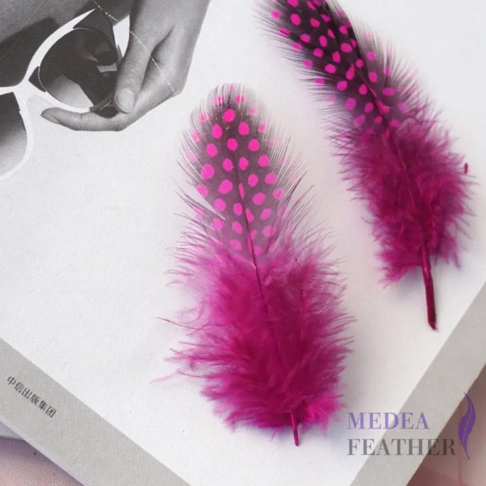 Guinea Hen Plumage Polka Dot Feathers