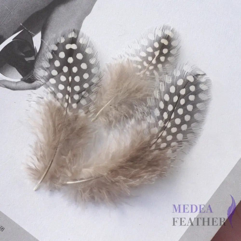 Guinea Hen Plumage Polka Dot Feathers