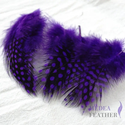 Guinea Hen Plumage Polka Dot Feathers