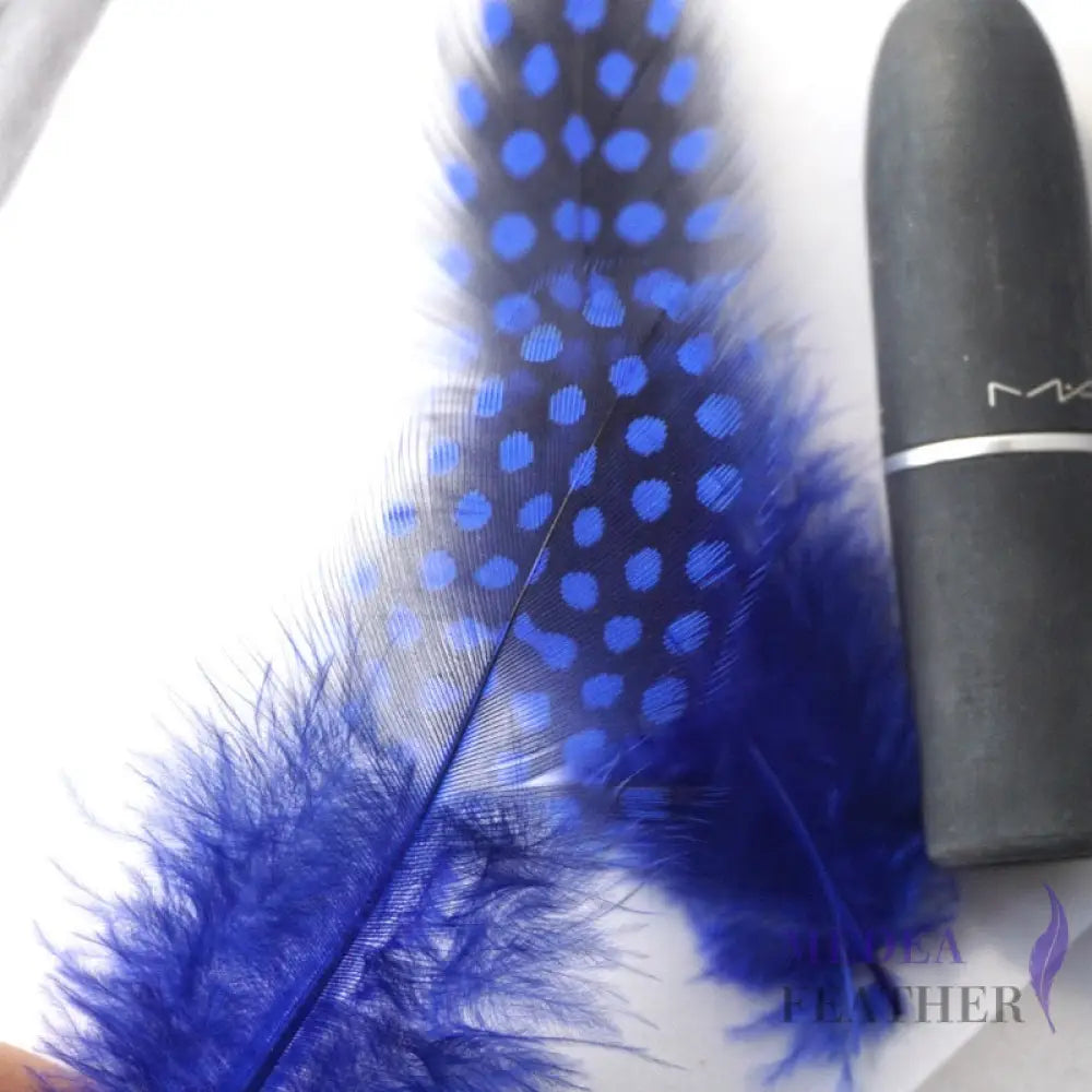Guinea Hen Plumage Polka Dot Feathers