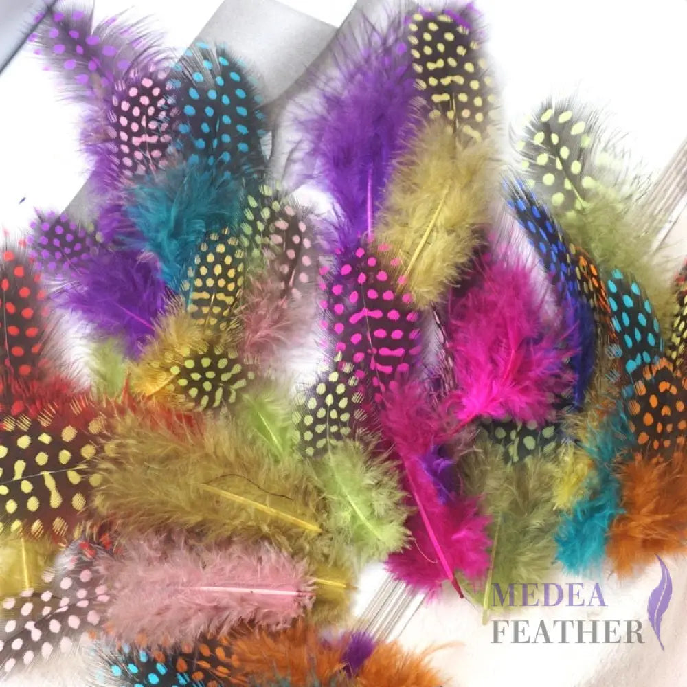 Guinea Hen Plumage Polka Dot Feathers Assorted