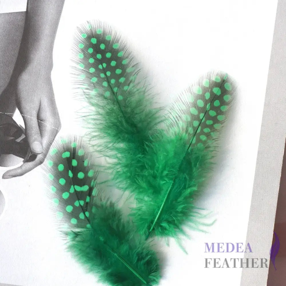 Guinea Hen Plumage Polka Dot Feathers Emerald