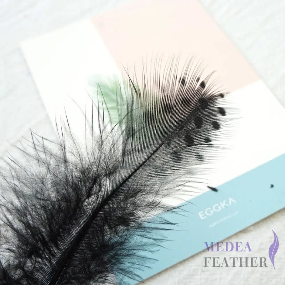 Guinea Hen Plumage Polka Dot Feathers Black