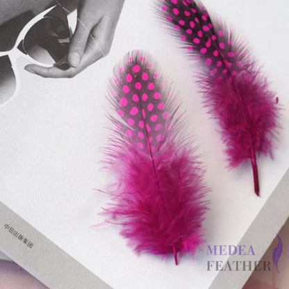 Guinea Hen Plumage Polka Dot Feathers Cerise