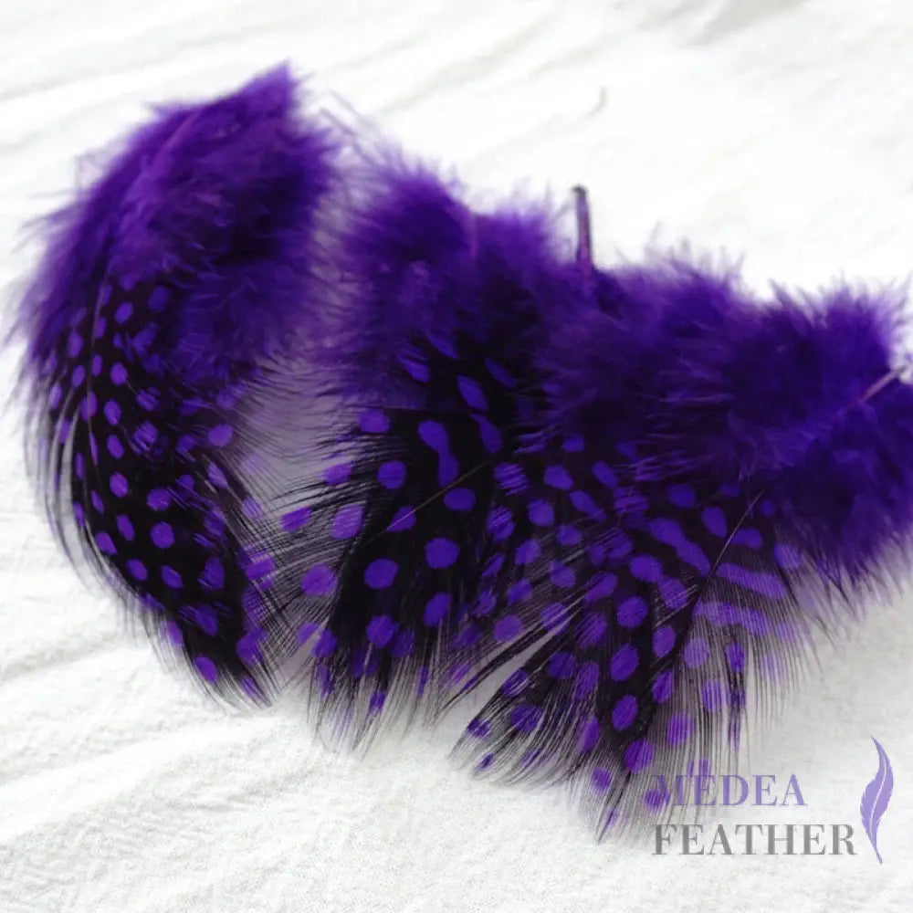 Guinea Hen Plumage Polka Dot Feathers Purple