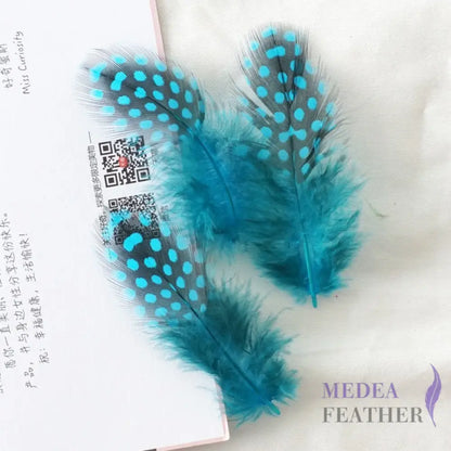 Guinea Hen Plumage Polka Dot Feathers Turquoise