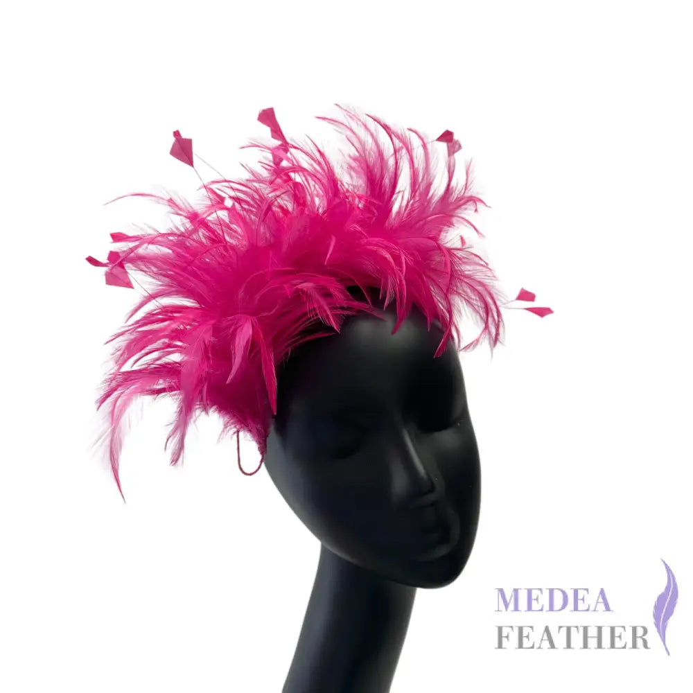 Hackle and Diamond Cut Coque Feather Mount FM601