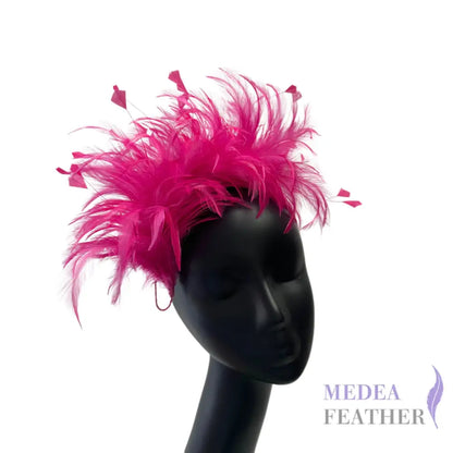 Hackle and Diamond Cut Coque Feather Mount FM601