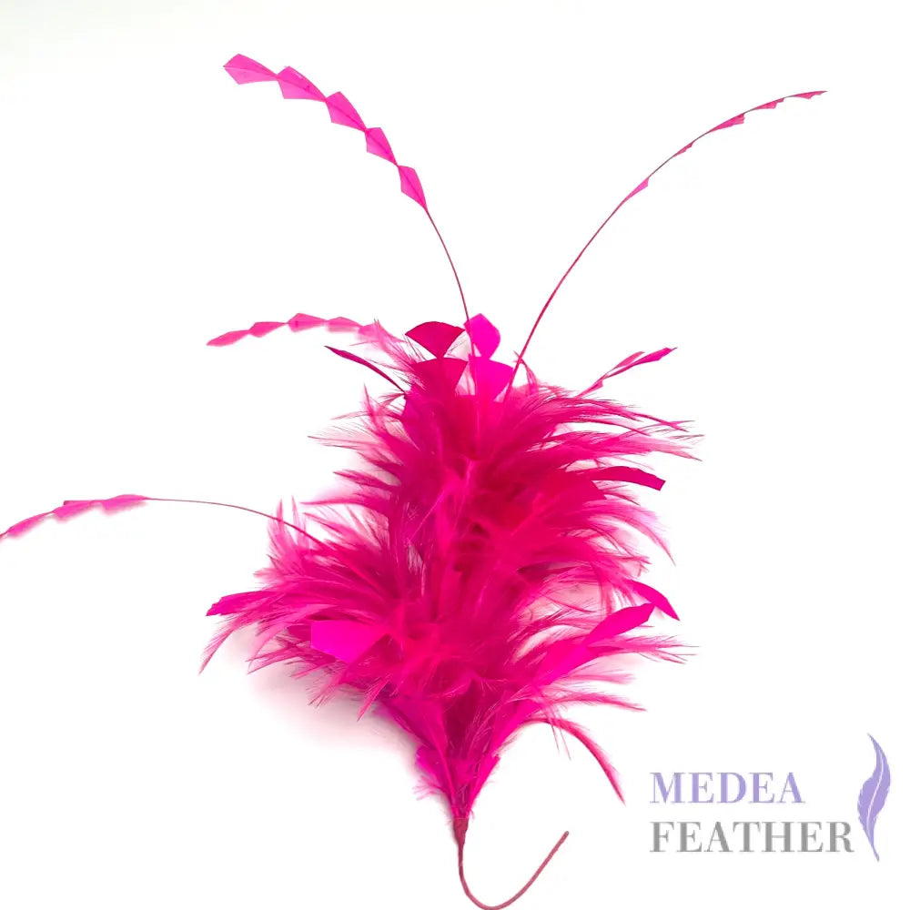 Hackle and Long Diamond Coque Feather Mount