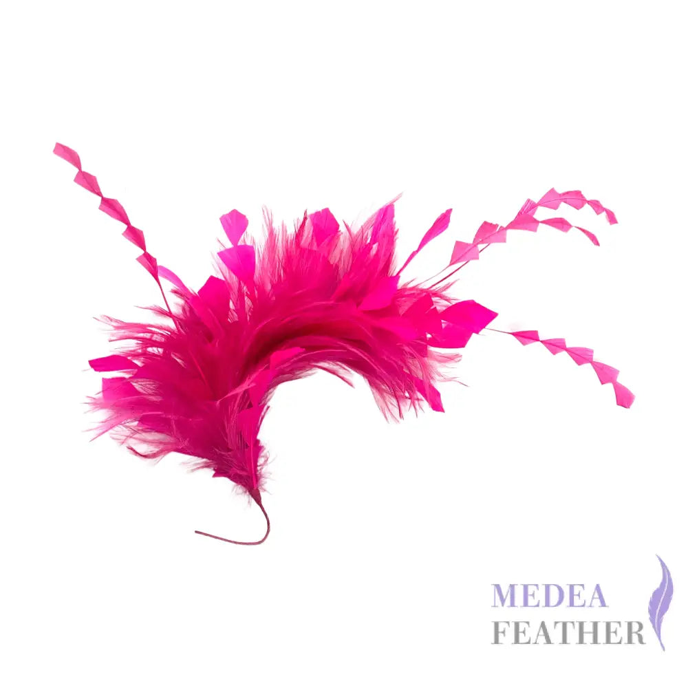 Hackle and Long Diamond Coque Feather Mount DS250620