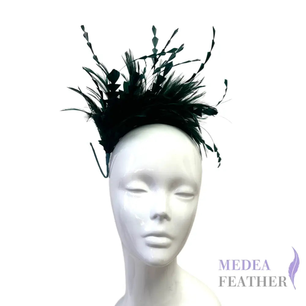 Hackle and Long Diamond Coque Feather Mount DS250620