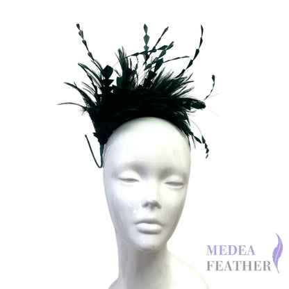 Hackle and Long Diamond Coque Feather Mount DS250620