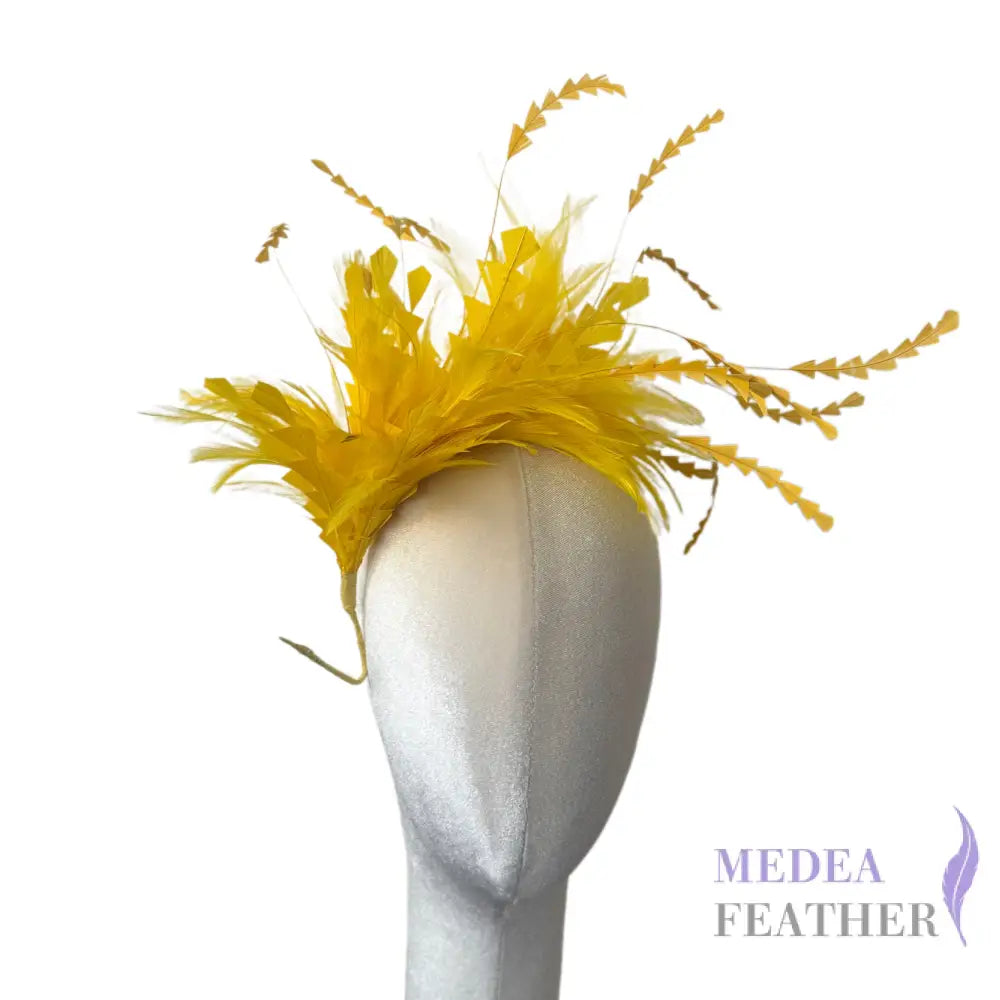 Hackle and Long Diamond Coque Feather Mount DS250620