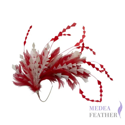 Hackle and Long Diamond Coque Feather Mount DS250620 #22 red & #01 ivory mixed