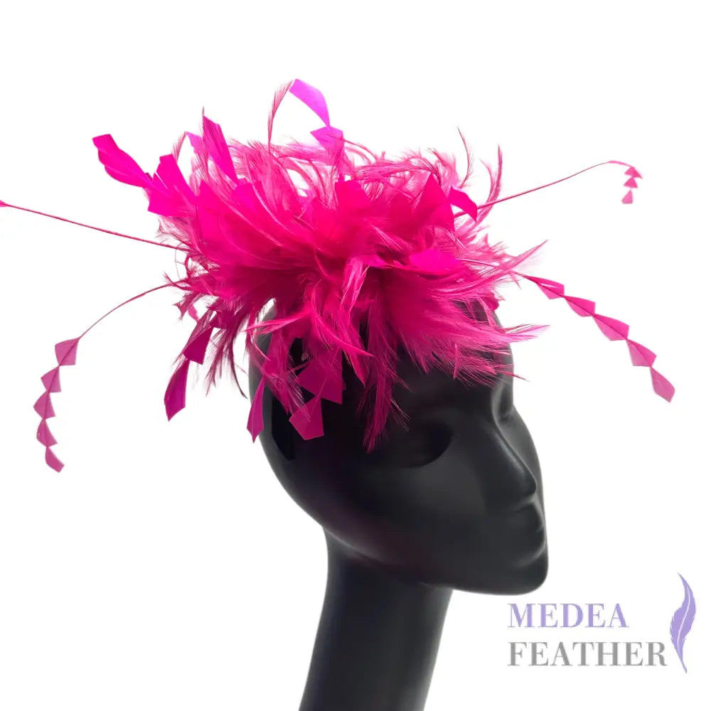 Hackle and Long Diamond Coque Feather Mount Hot pink