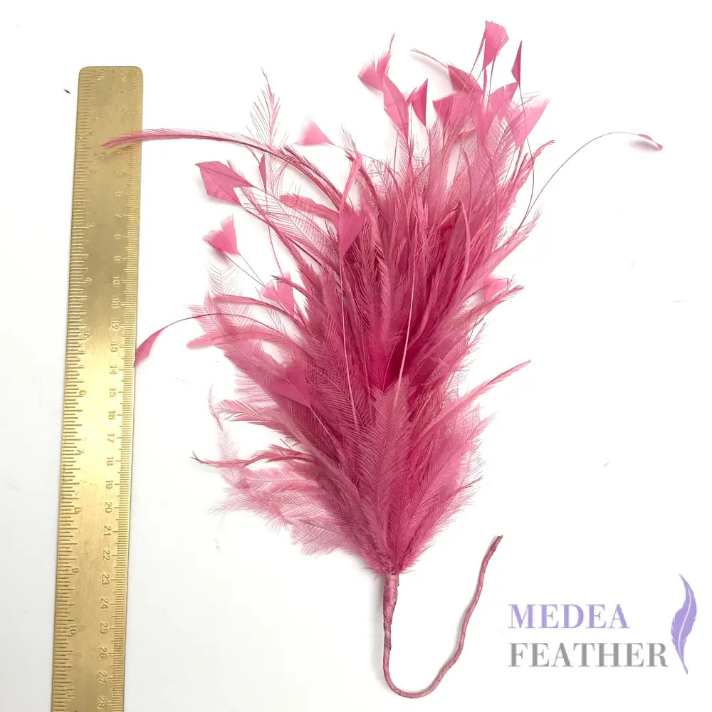 Hackle and Peacock Diamond Tips Feather Mount FM530